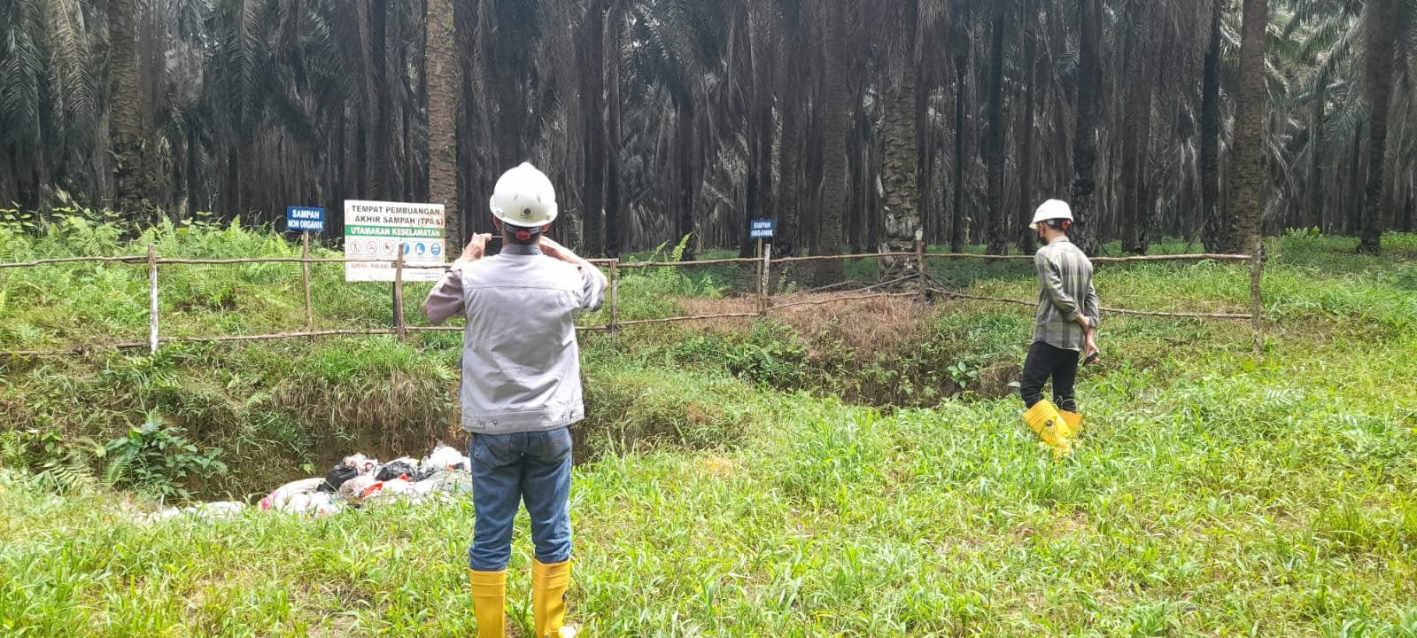 STUDI PENGUASAAN LAHAN  (Land Tenure Study)